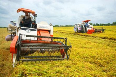 Hai Lúa tự làm máy cày, nhà khoa học nói gì?